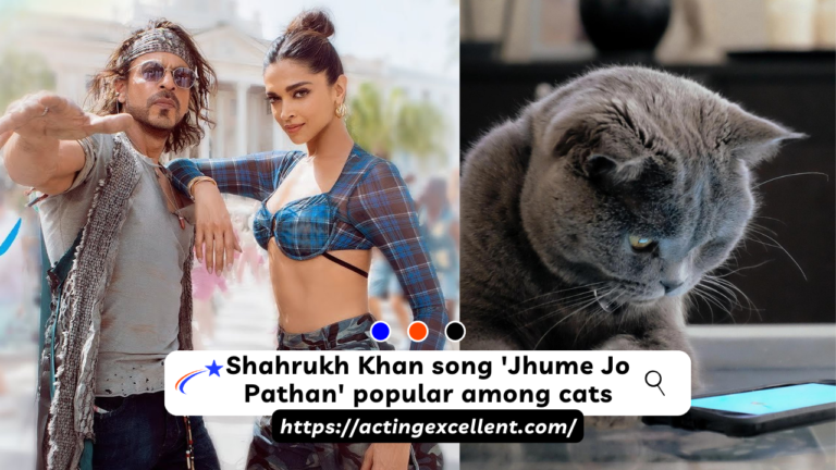 Shahrukh Khan song ‘Jhume Jo Pathan’ popular among cats