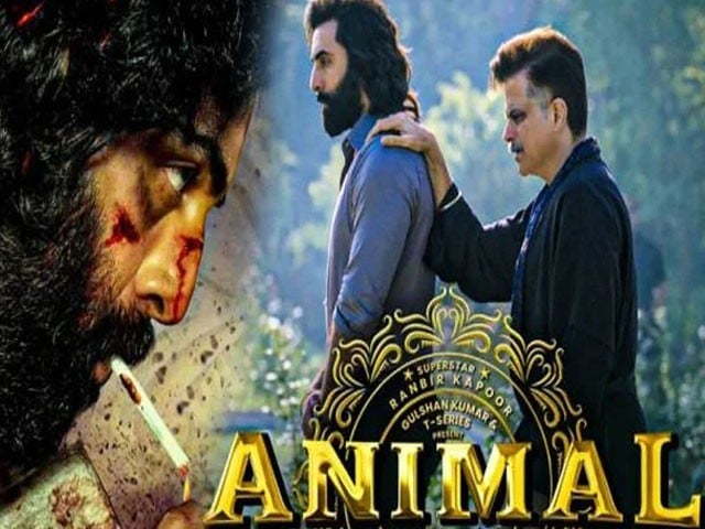 Ranbir Kapoor's Film 'Animal' surpasses 'Ghadar 2', 700 crore business in 10 days