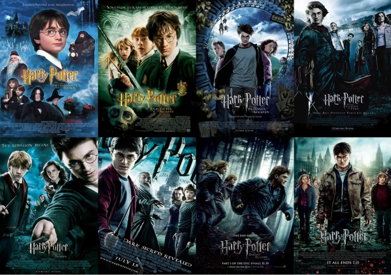 Harry Potter DVD – Complete 8 Film Collection
