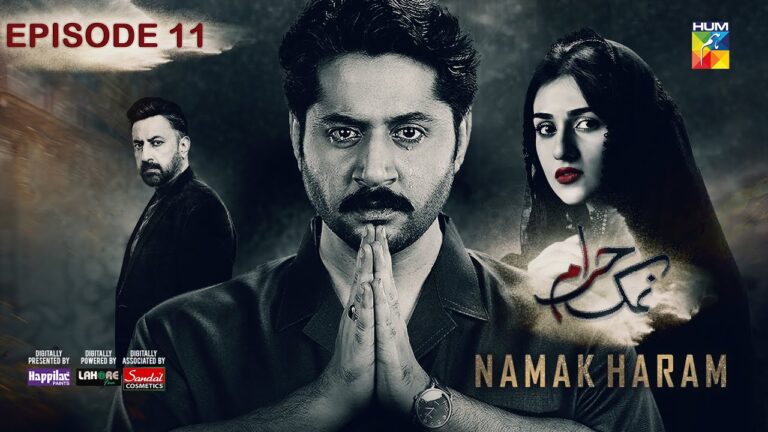 Namak Haram episode 13