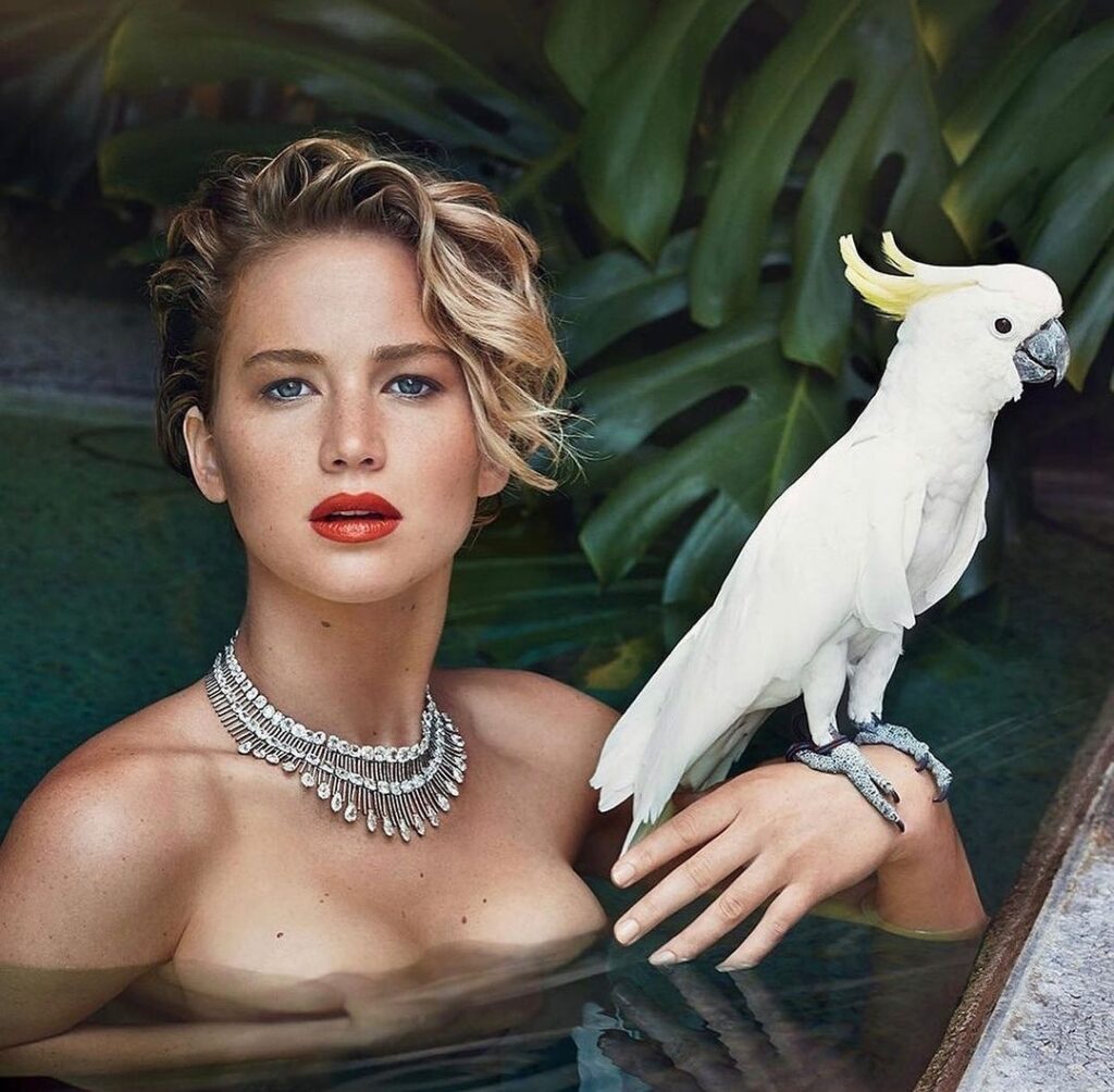 Jennifer Lawrence